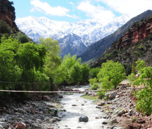 OURIKA VALLEY EXCURSION